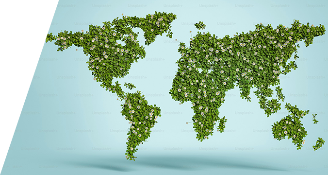 International Students Image